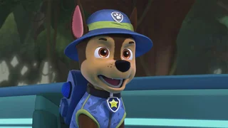 EP.1020 | PAW Patrol Season 10