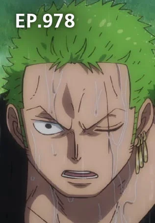 EP.978 | วันพีซ ดินแดนวาโนะ ซีซัน 20