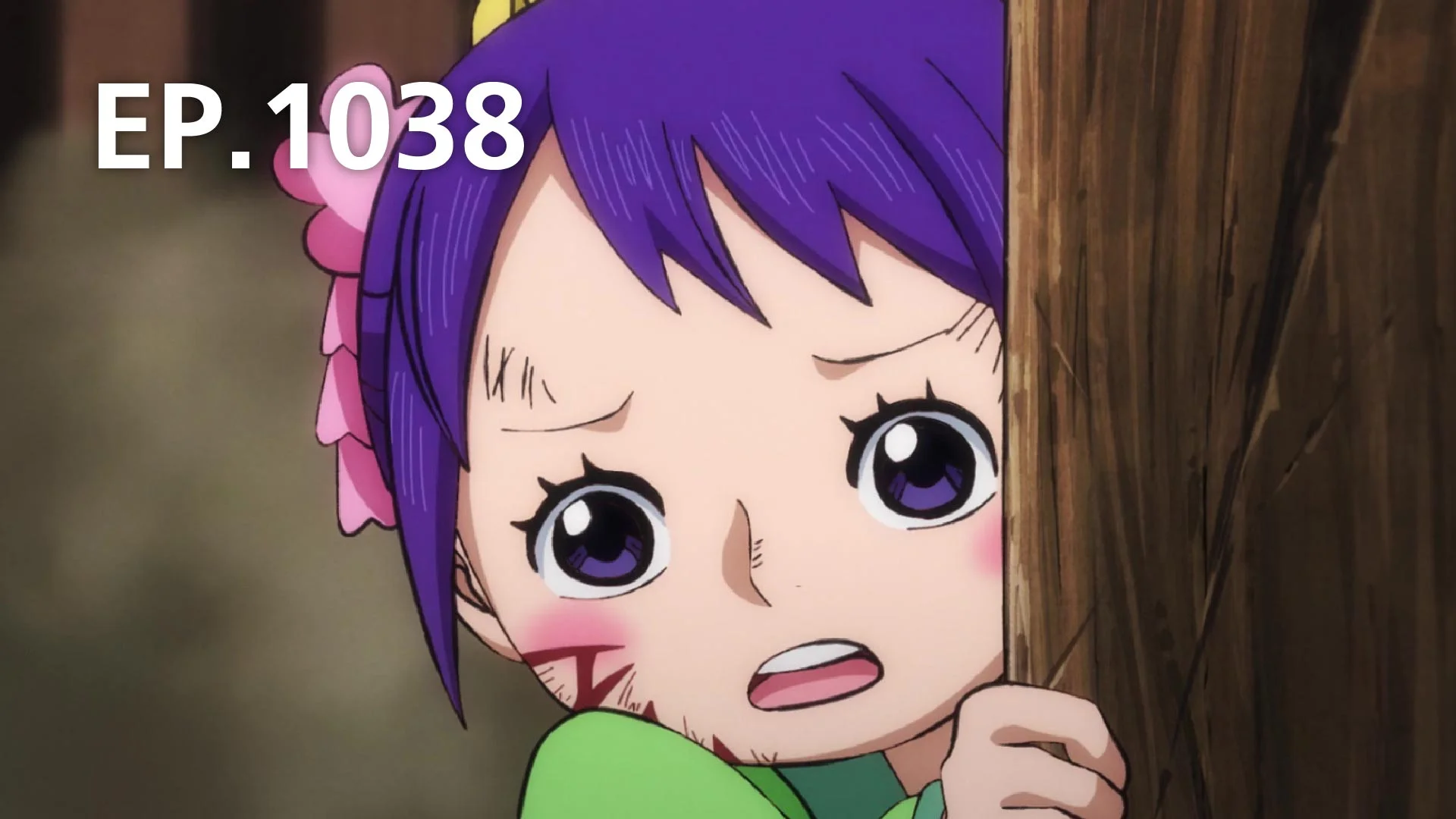 One Piece Episode 1038