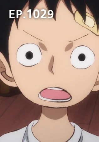 EP.1029 | วันพีซ ดินแดนวาโนะ ซีซัน 20