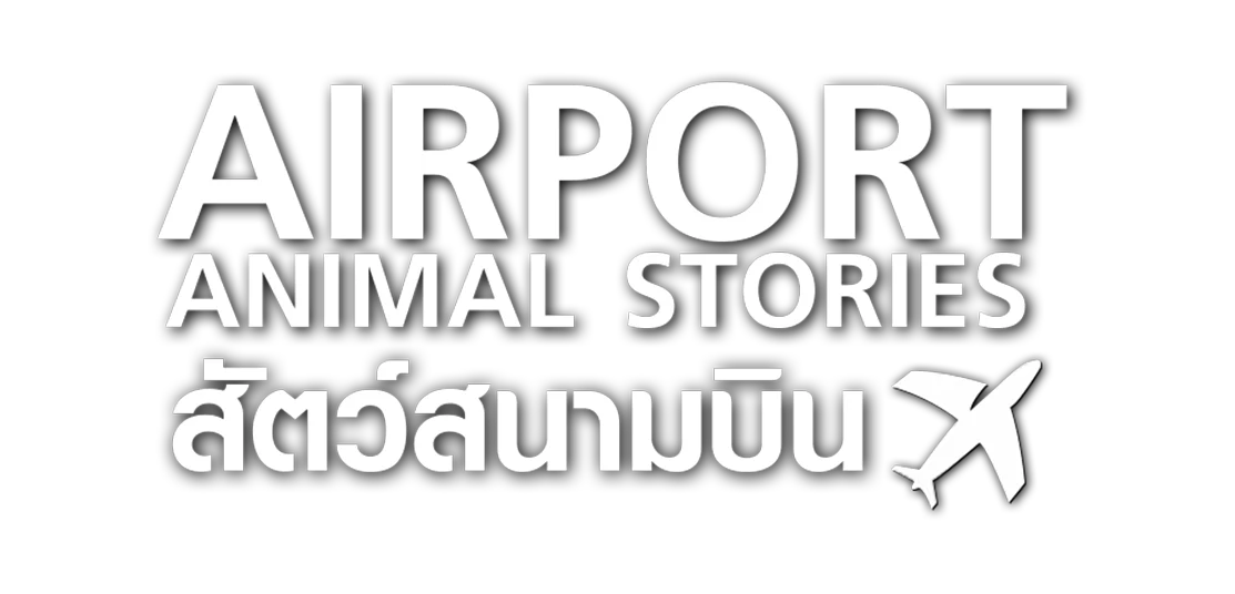 สัตว์สนามบิน
