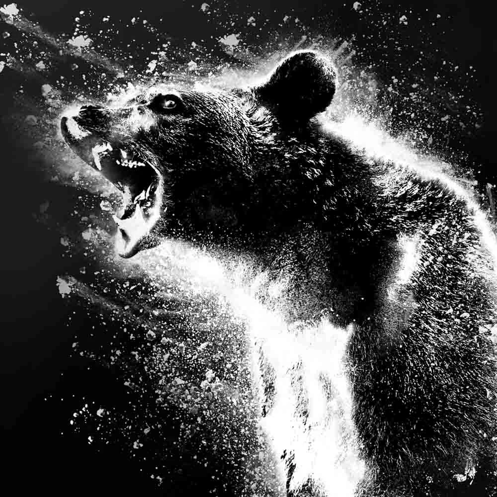 Cocaine Bear