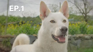 EP.01 | อลเวงราชาลูกดก