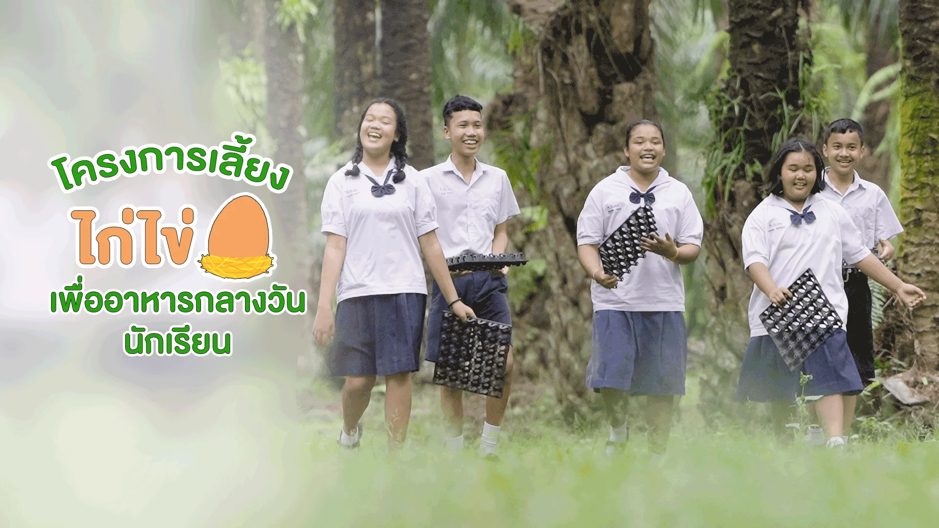 โครงการเลี้ยงไก่ไข่ เพื่ออาหารกลางวันนักเรียน