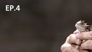 EP.04 | Little Giants