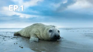 EP.01 | ทะลวัดเดน ธรรมชาติชายแดน