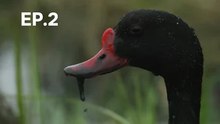 EP.02 | ทะลวัดเดน ธรรมชาติชายแดน