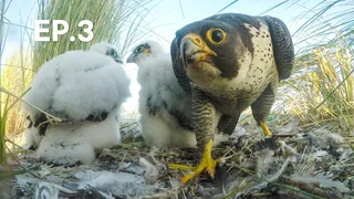 EP.03 | ทะลวัดเดน ธรรมชาติชายแดน