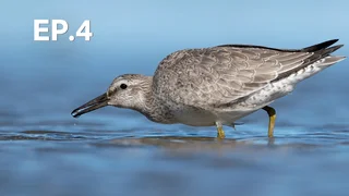 EP.04 | ทะลวัดเดน ธรรมชาติชายแดน