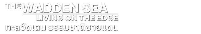 ทะลวัดเดน ธรรมชาติชายแดน