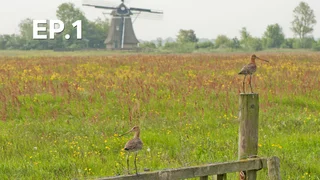 EP.01 | การเดินทางอันเหลือเชื่อของนกปากแอ่น