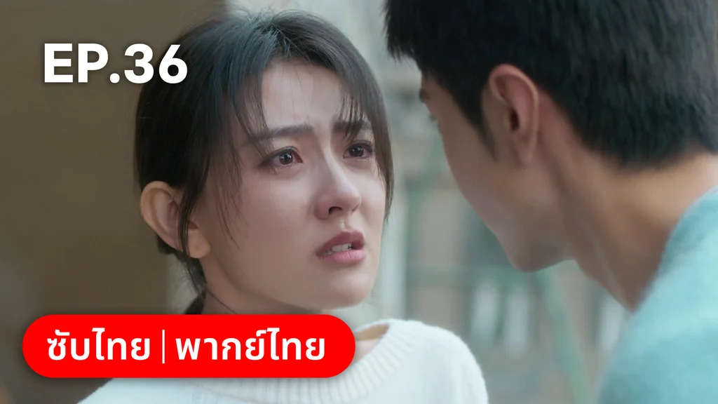EP.36 | ปลูกรักพักใจใต้ต้นมะกอกขาว