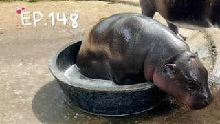 EP.148 | หมูเด้งไดอารี่: 2 APR 2025