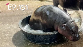EP.151 | หมูเด้งไดอารี่: 5 APR 2025