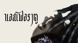 Nosferatu