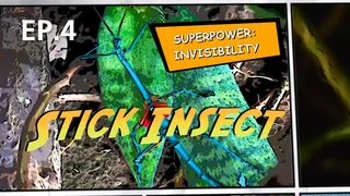 EP.04 | Super Animals