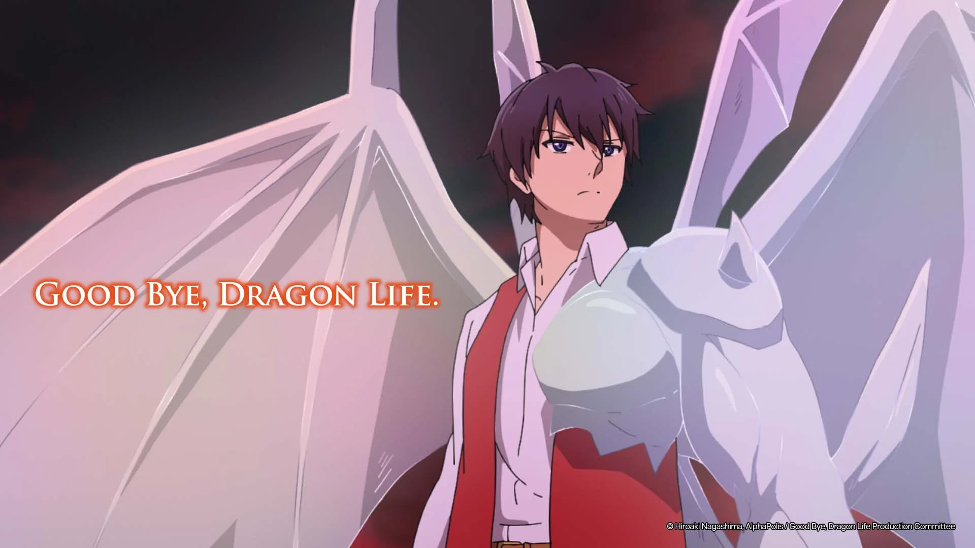 Goodbye Dragon Life