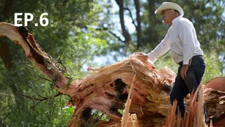 EP.06 | Homestead Rescue Season 6