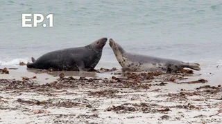 EP.01 | ครอบครัวในป่า