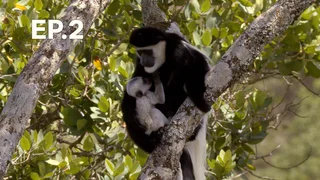 EP.02 | ครอบครัวในป่า