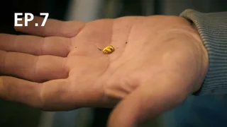 EP.07 | Gold Rush (Specials) Season 15