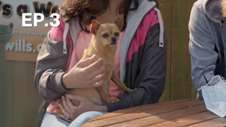 EP.03 | ศูนย์พักพิงสัตว์ ปี 1