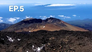 EP.05 | เอกลักษณ์คานารี