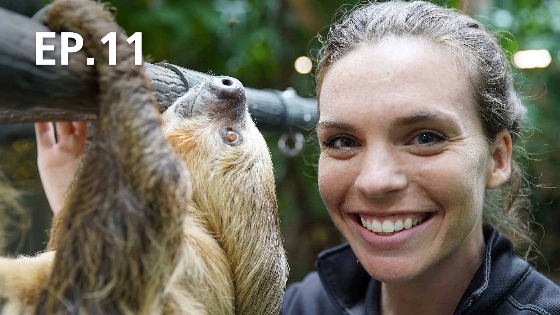 EP.11 | How Do Animals Do That? - ดูซีรี่ส์ออนไลน์