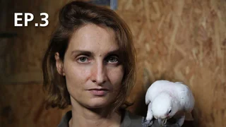 EP.03 | How Do Animals Do That?