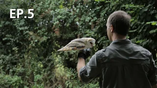 EP.05 | How Do Animals Do That?