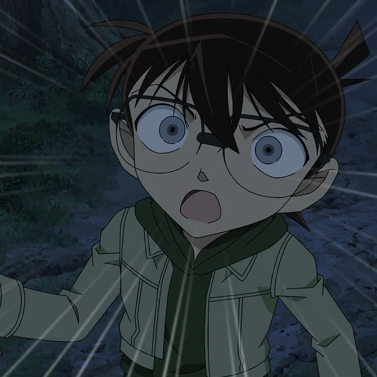 Detective Conan the Series
