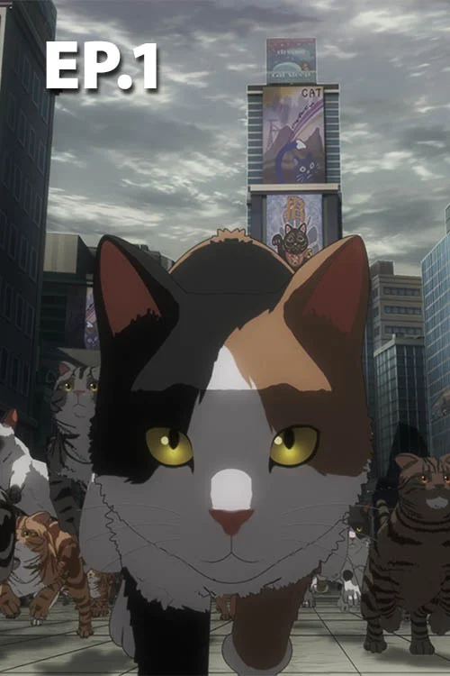 EP.01 | Nyaight of the Living Cat