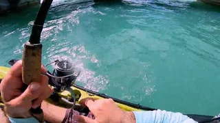 EP.03 | Caught! Sharks Strike Back