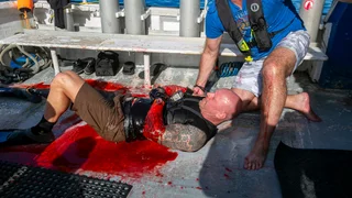 EP.02 | How To Survive A Shark Attack