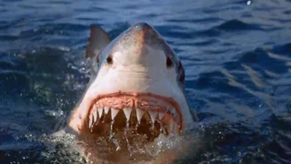 EP.04 | Jaws Vs Mega Croc