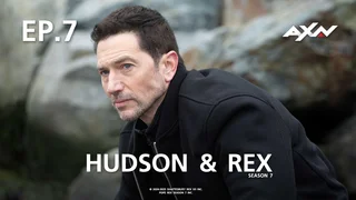 EP.07 | Hudson & Rex Season 7