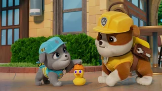 EP.1115 | PAW Patrol Season 11