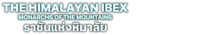ราชันแห่งหิมาลัย