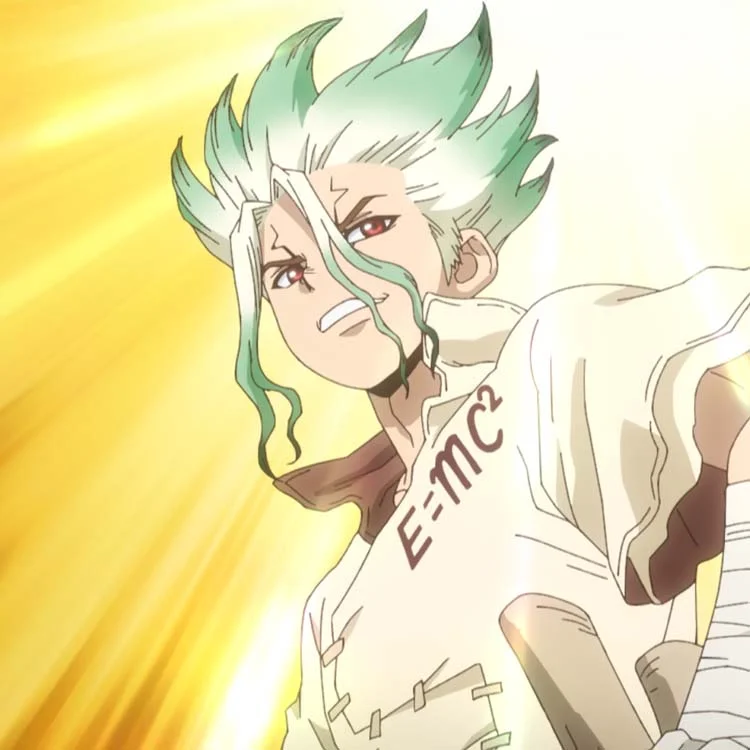 ดอกเตอร์สโตน