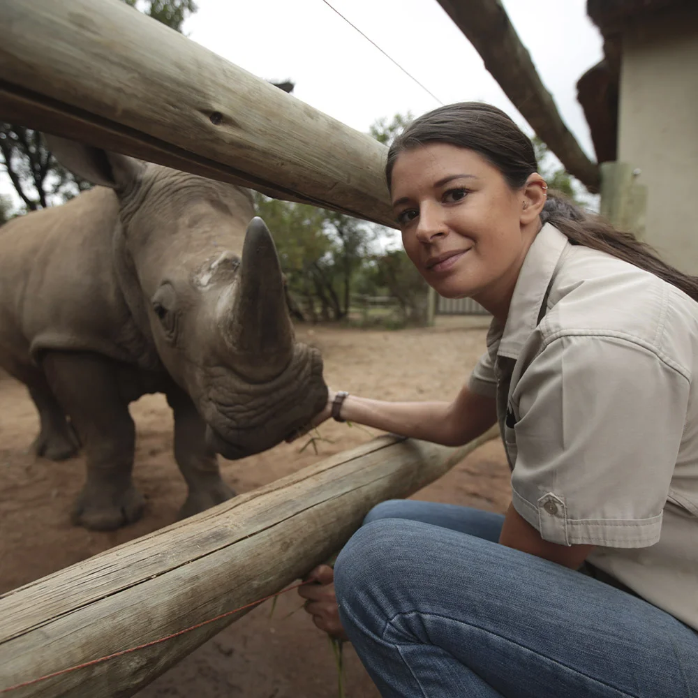 ห้องทำงานในป่า