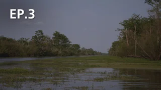 EP.03 | Cold Case Files: Murder In The Bayou