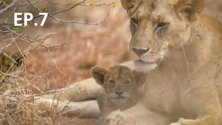 EP.07 | Expedition Unknown Season 10