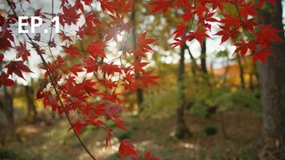 EP.01 | Japan: The Sense Of Season Season 2