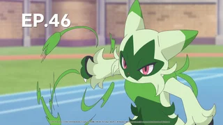 EP.46 | โปเกมอน สุดขอบฟ้า ซีซัน 2: เสาะหาลาควา