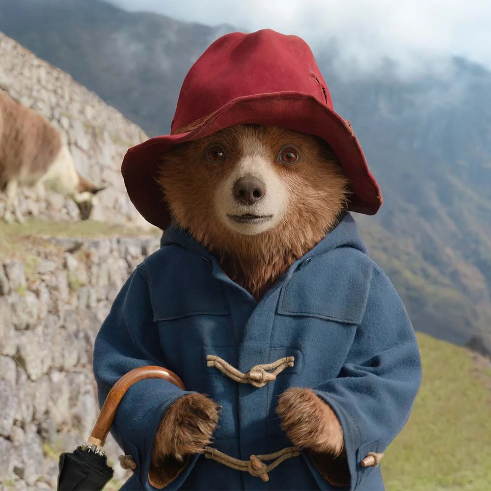 แพดดิงตัน คุณหมีผจญภัยป่าอะเมซอน