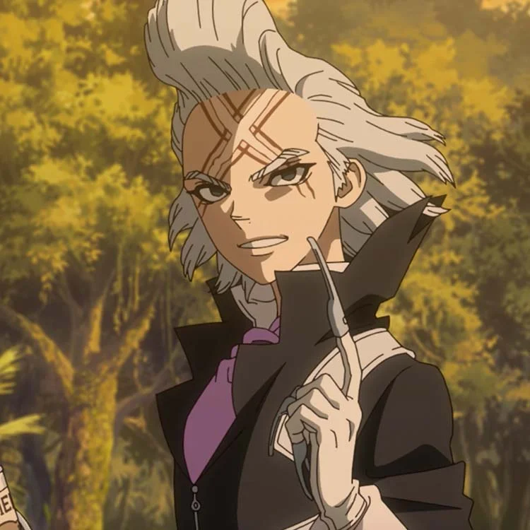 ดอกเตอร์สโตน