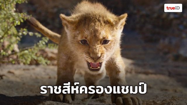 [Box Office] ราชสีห์คําราม The Lion King แรงแซงไอ้แมงมุม
