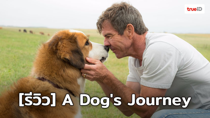 [Review] A Dog's Journey มหัศจรรย์ความผูกพันสองสายพันธุ์