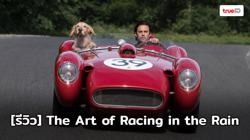 [Review] The Art of Racing in the Rain เรื่องราวความประทับใจในครอบครัวผ่านมุมมองของเจ้าตูบแสนรู้