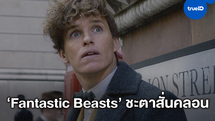 แฟรนไชส์หนังภาคต่อ "Fantastic Beasts" มีสิทธิ์ถูกเปลี่ยนไปเป็นซีรีส์ฉายออนไลน์